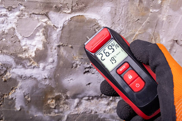 Best Mold Testing  in Hyrum, UT