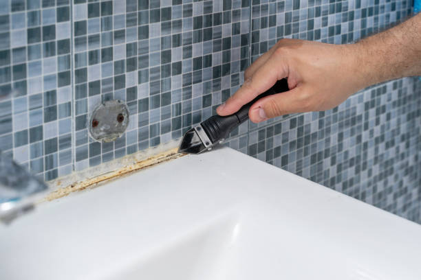 Home Mold Removal in Hyrum, UT