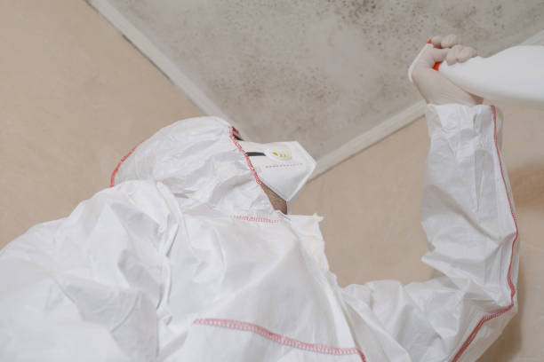 Best Commercial Mold Removal  in Hyrum, UT