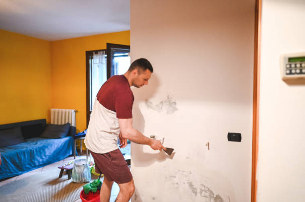 Best Emergency Mold Removal  in Hyrum, UT